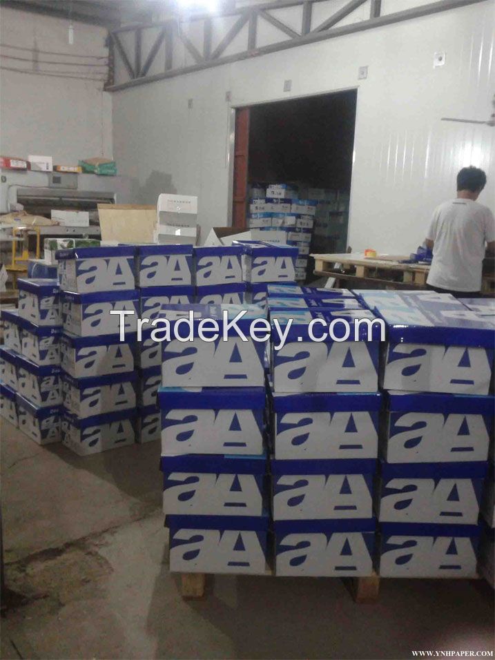 A4 Size Copy Paper / Printing Paper / Office Paper