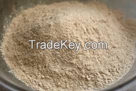 whole Wheat Flour