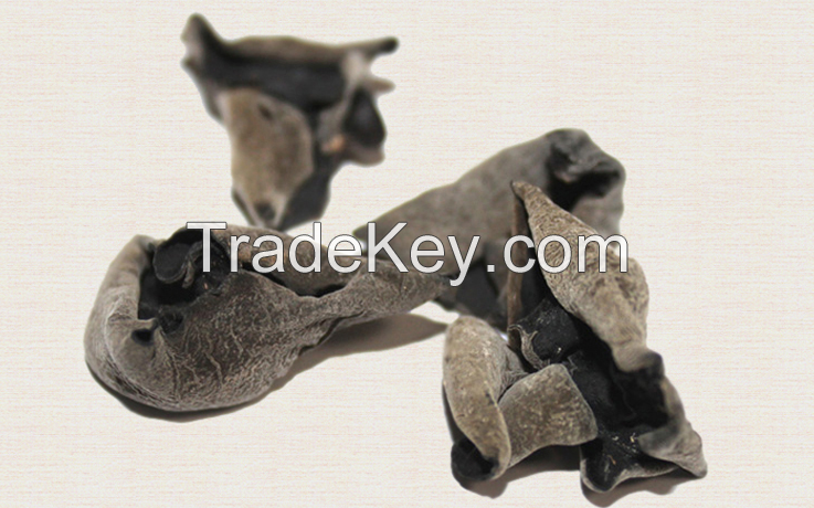 black mushroom Dried Black Fungus mushroom Dried mushroom wood ear