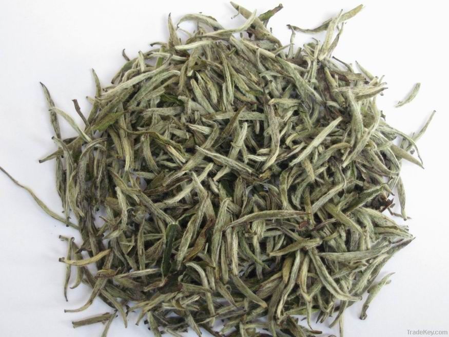 Silver Needle White Tea