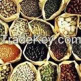 Vegetable Seeds