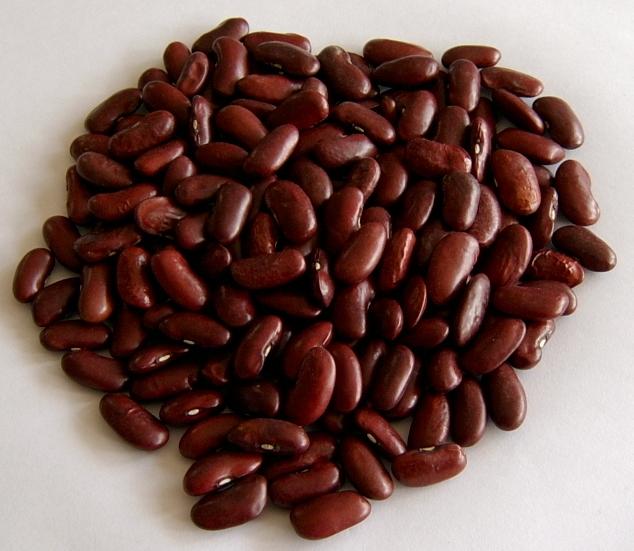 red kidney bean