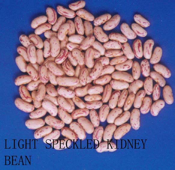 kidney beans