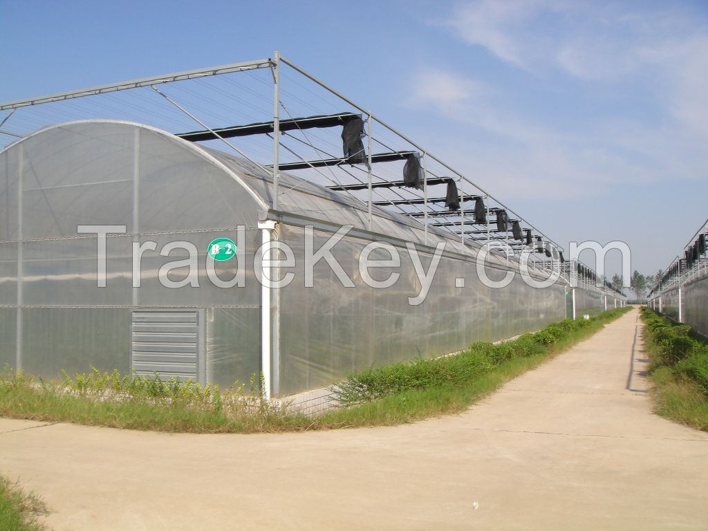 Glass greenhouse/Pc sheet greenhouse/Thin-dilm greenhouse