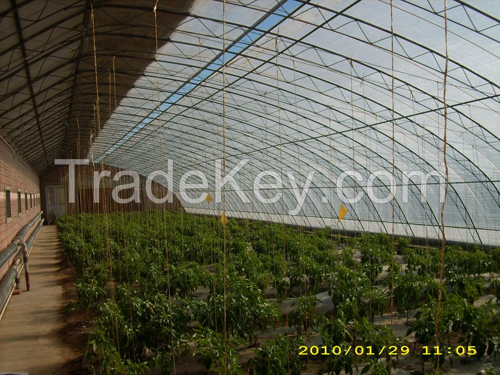 Glass greenhouse/Pc sheet greenhouse/Thin-dilm greenhouse