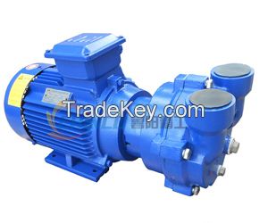 ZJQ series air cooled roots pump