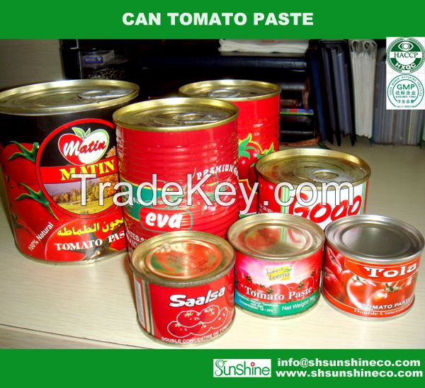 Canned Tomato paste/Tomato ketchup/ Tomato Sauce