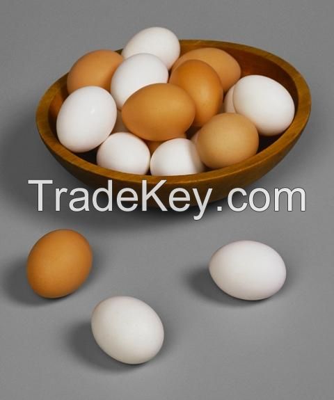chicken eggs all gredes and colors
