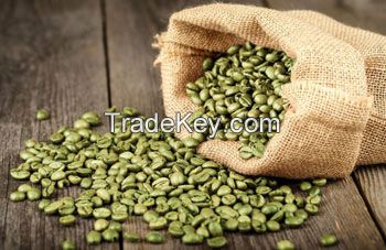 Jamaica blue mountain unrasted coffee beans