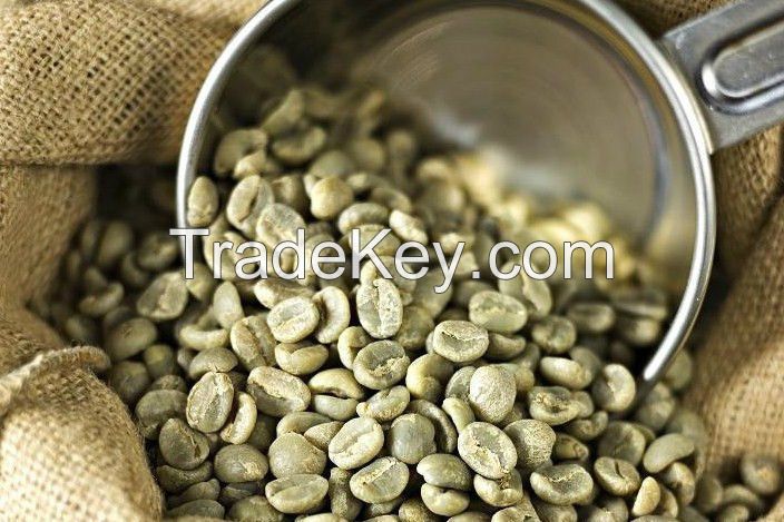 Jamaica blue mountain unrasted coffee beans