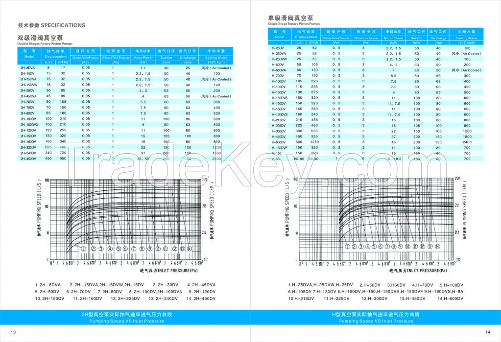 Double Stage Vacuum Impregnation Rotary Piston Pump