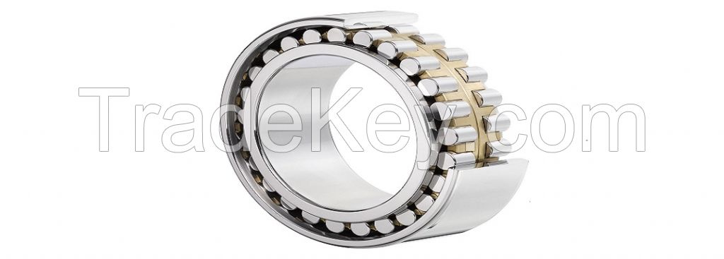 Cylindrical roller bearings Full complement cylindrical roller bearings