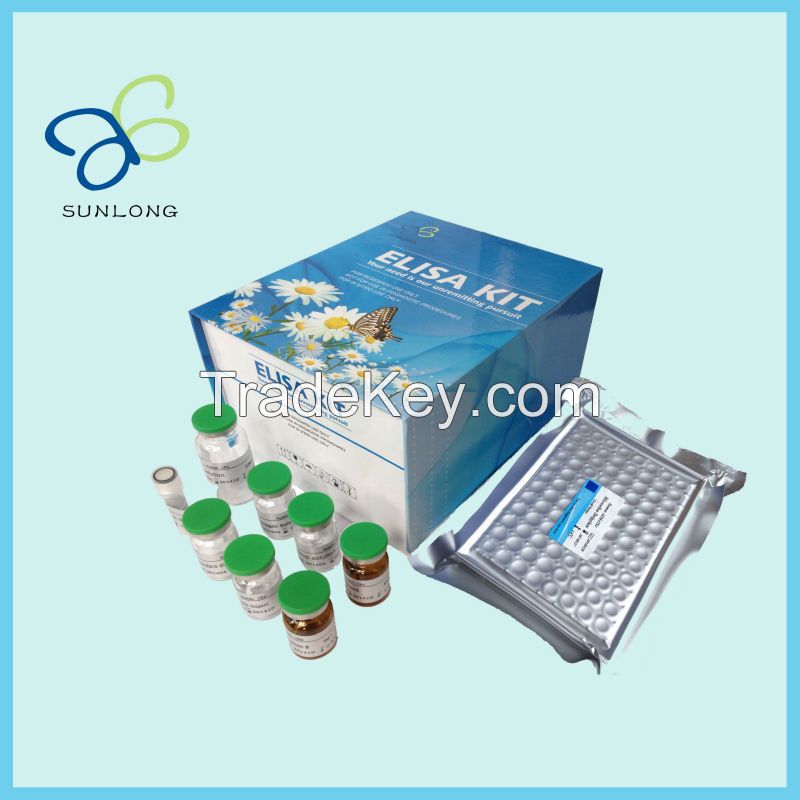 Human Contactin Associated Protein Like Protein 2 (CNTNAP2)ELISA Kit