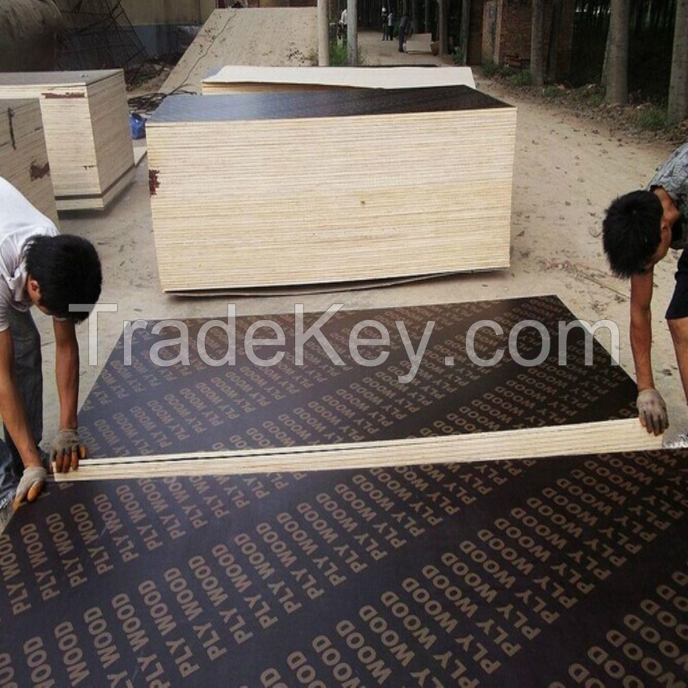 21mm plywood for construction supplier