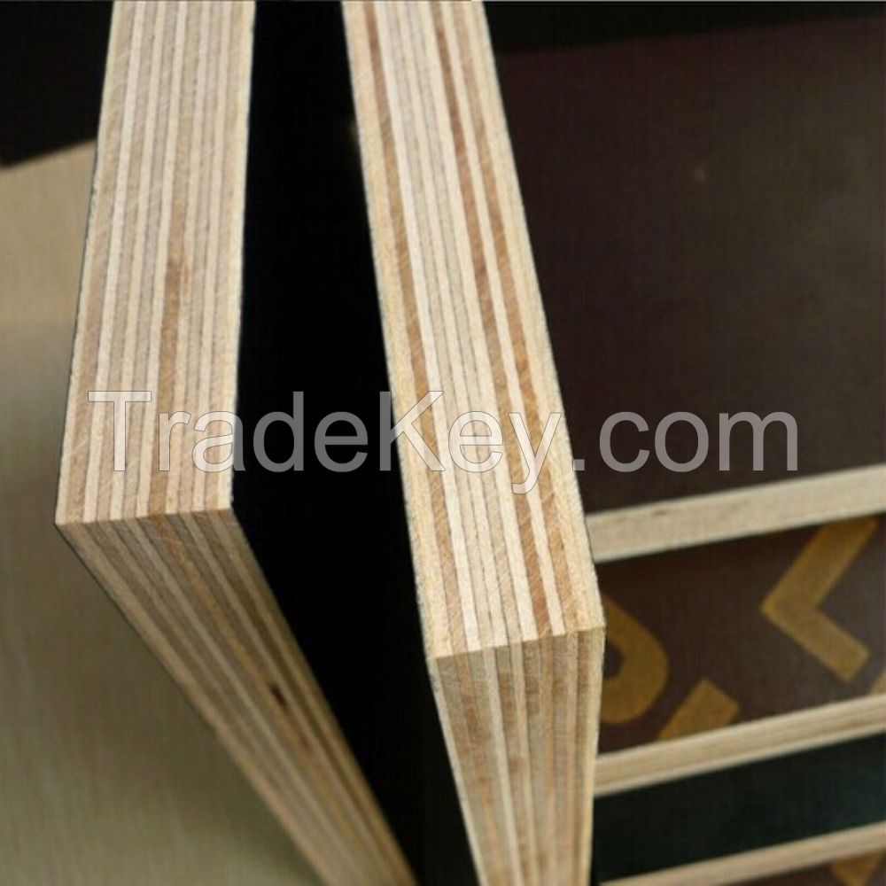 Good quality pine plywood sheet with poplar core