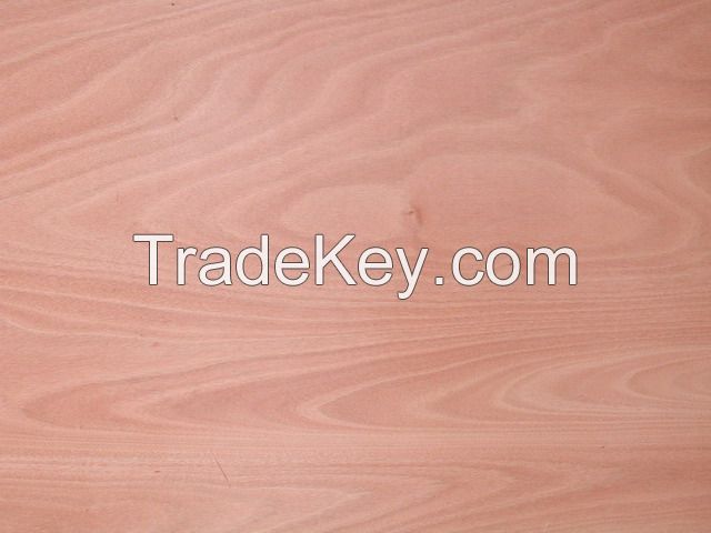 E0/E1/E2 oak/gurjan /bintangor /okoume plywood 