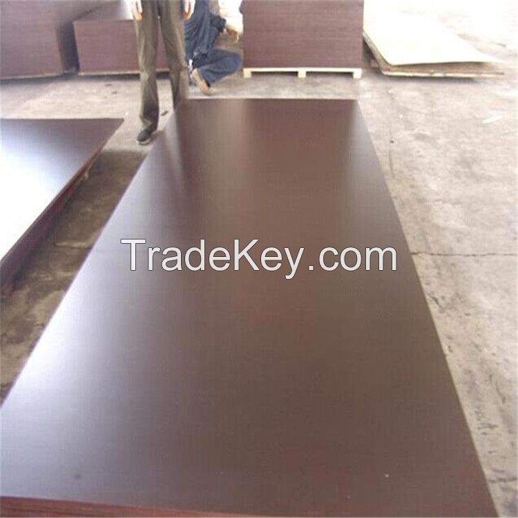 12mm eucalyptus core film faced plywood