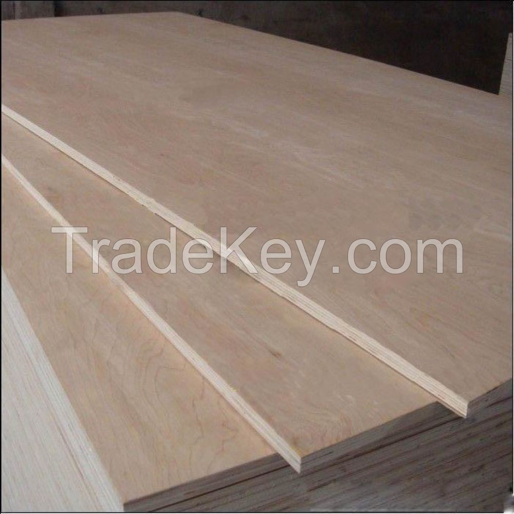 birch material film faced plywood for construction 