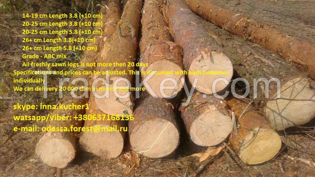 pine logs