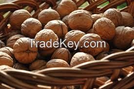 Walnuts wholesale price 