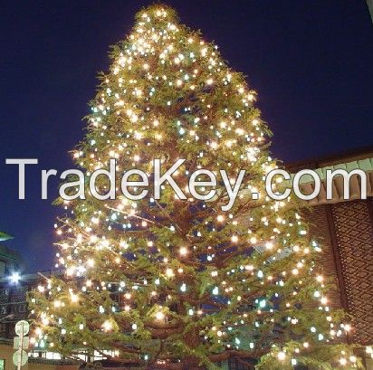 Lights Tree With Multi-colour LED and Star Top for Christmas Holiday