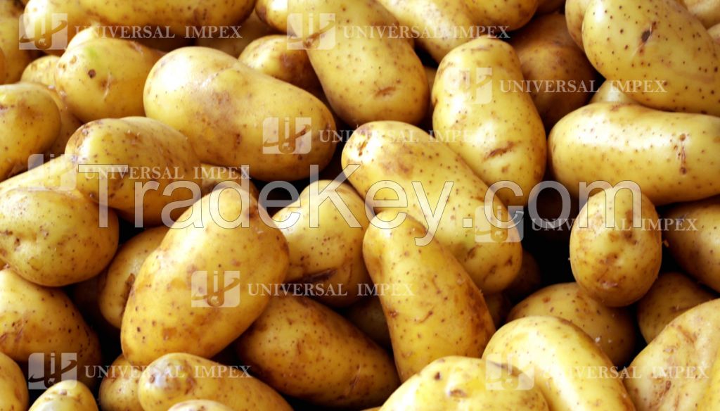 Fresh Potatoes