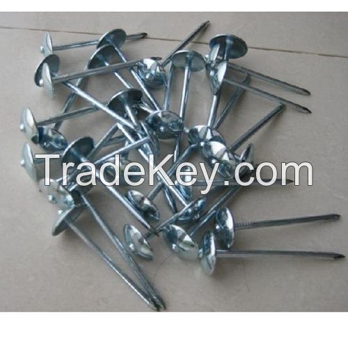(Hot) Galvanized Roofing Nail with Umbrella Head