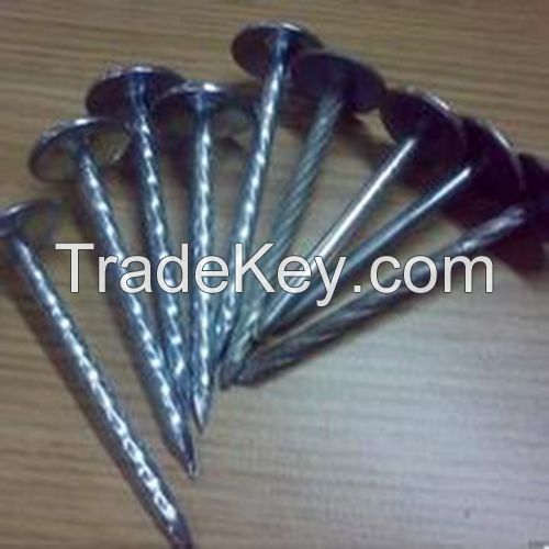 Roofing Screws with Washers (HOT)