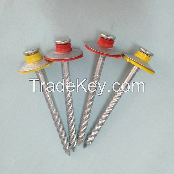 Roofing Screws with Washers (HOT)