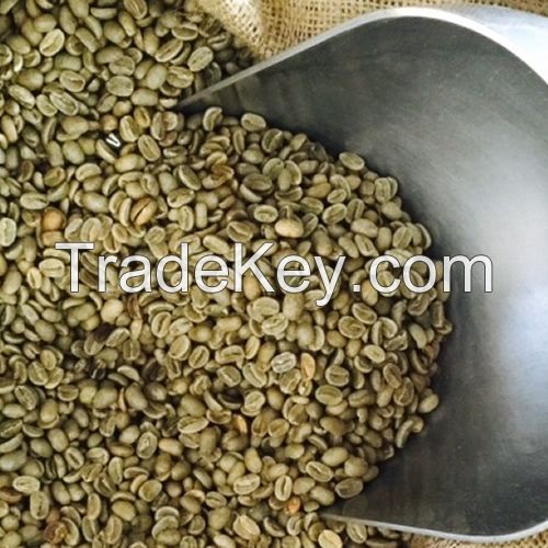 Green Coffee Beans