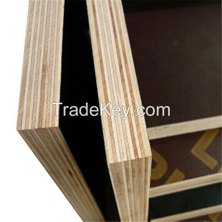 12mm 15mm 18mm black/brown film faced shuttering plywood for construction