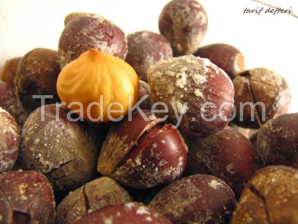 Hazelnuts From The Black Sea Coast of Turkey