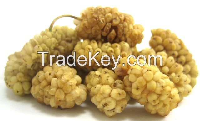Dried White/Dark Mulberries Organic And Conventional