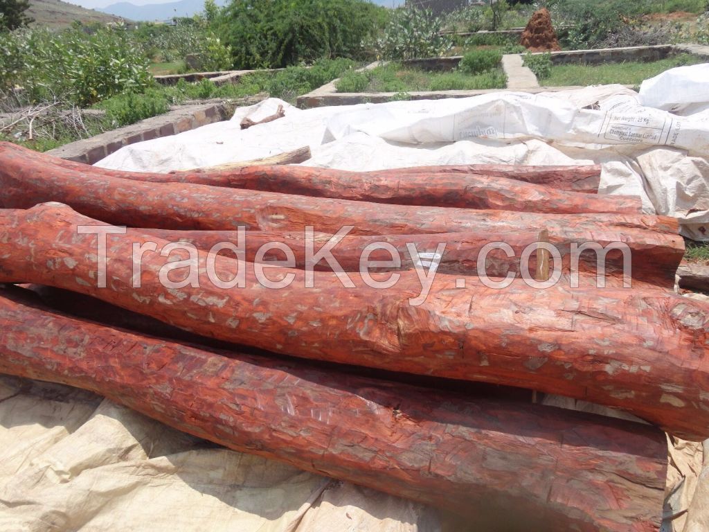 red sandalwood logs 