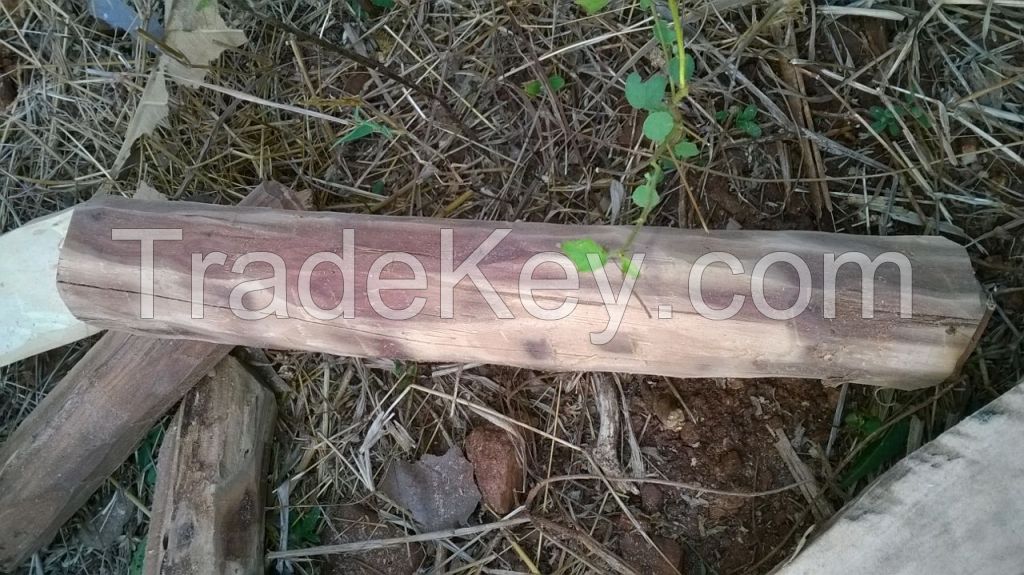 white sandalwood logs, white sandalwood, sandalwood