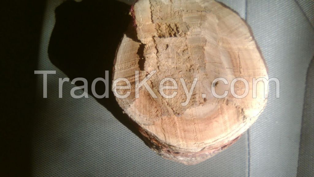 white sandalwood logs, white sandalwood, sandalwood