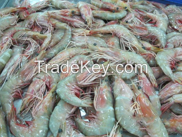 live, frozen and dried shrimps, crabs and lobsters