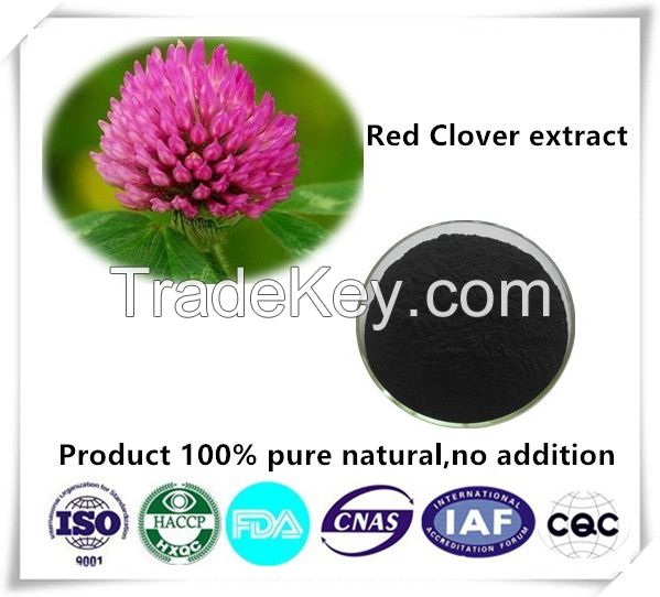 Red Clover extract