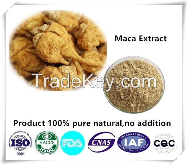 MacaÂ Extract
