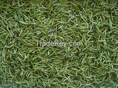 Huangshan Maofeng Green Tea