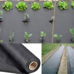 17gsm UV pp non-woven cloth rolls for gardening cover & crop cover & greenhouse cover & agriculture nonwoven cloth rolls 