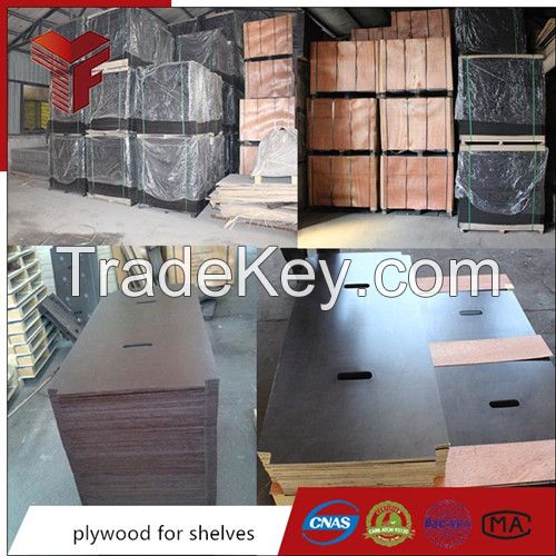 Best Plywood for Shelves made in China