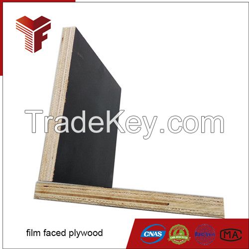China supplier black color 12mm consturction plywood
