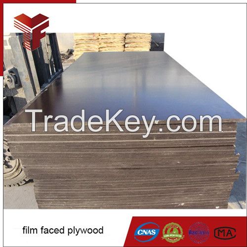 Competitive price brown color 12mm film faced plywood