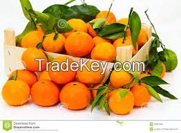 Fresh mandarins