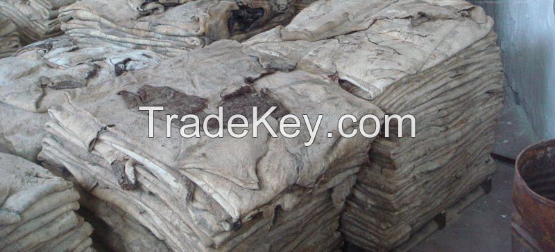 wet blue salted cow hides 