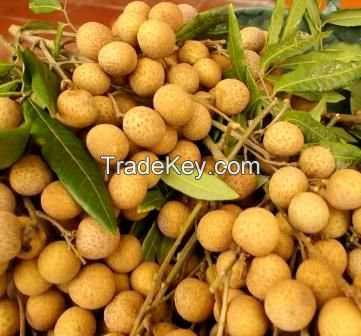 Longan fruit