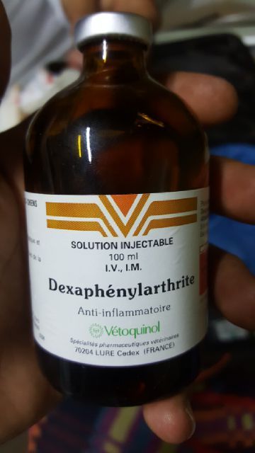 Dexaphenylarthrite Injection