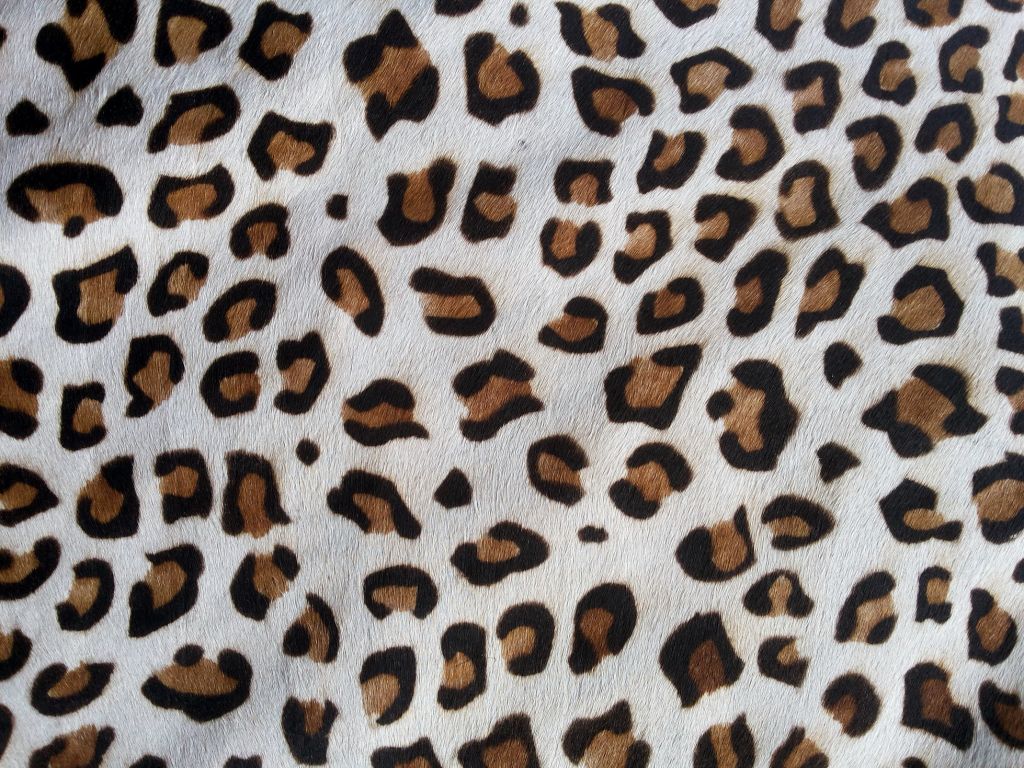 Animal Printed on Genuine Cowhide Leather Furs.