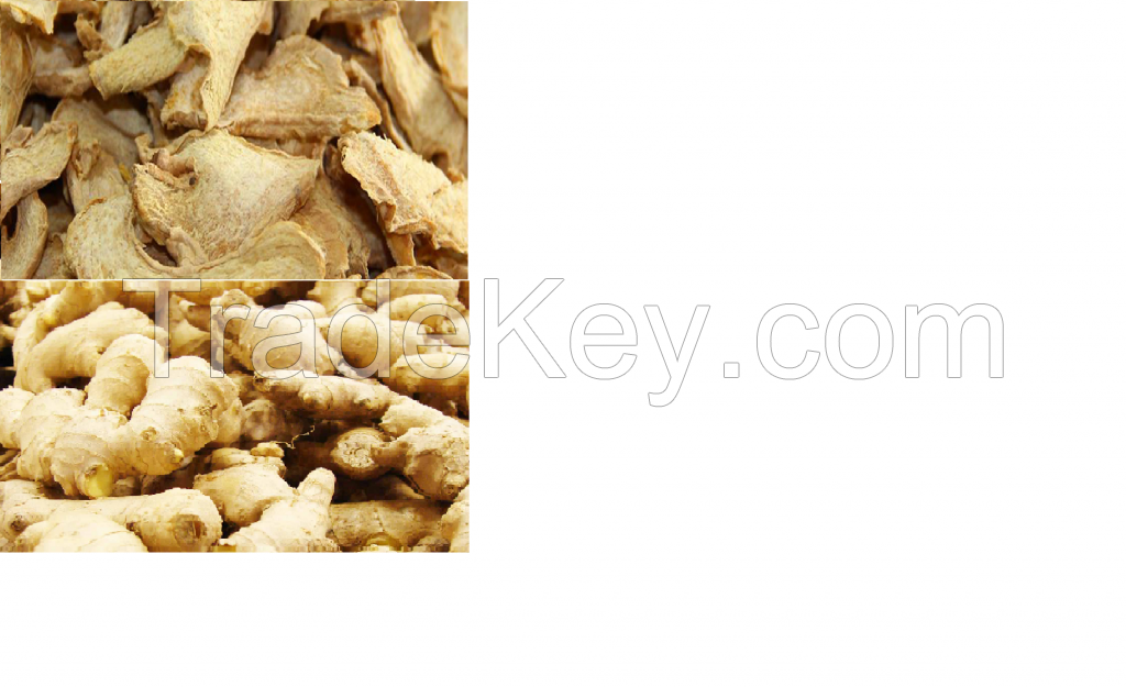 DRIED SPLIT GINGER